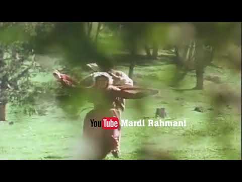 سکانس های سانسور شده سریال قدیمی و خاطره انگیز در برابر باد