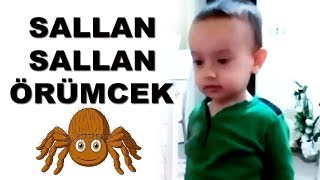 Sallan Sallan Örümcek Şarkısı ║ Çocuk Şarkıları ║ Afacan Kayhan