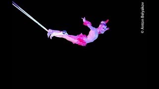 Aerial Trapeze Single Circus Act Variety Performance Entertainment