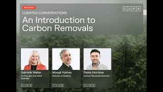 An Introduction to Carbon Removals