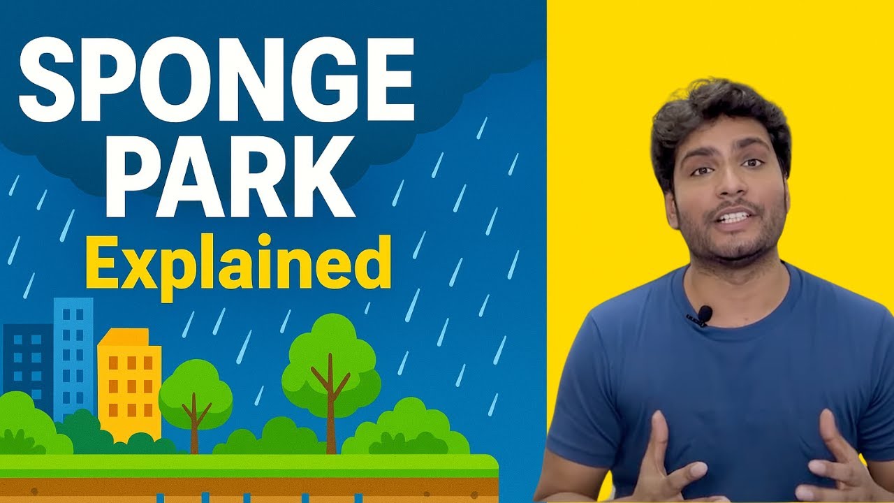 India Fighting Floods with Sponge Parks | Chennai Leads the Way | Monkistan | Rahul Dayaal