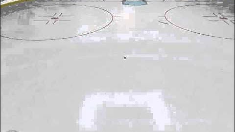 Crazy Empty Net Goal in NHL 11