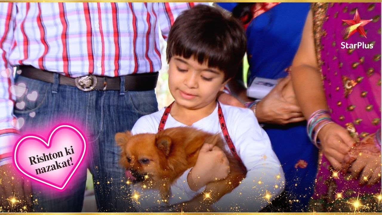 Naksh एक पिल्ला घर लाता है! | Full Ep. 1098 - 1102 | Yeh Rishta Kya Kehlata Hai