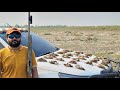 Ultimate quail hunting vlog  season 20232024  by malik sarfraz khokhar
