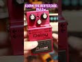 BOSS DM-2wとDD-3の違い🎸アナログとデジタル #bosspedals #bossdd3 #bossdm2w #seabird #チバカン楽器 #bosseffects #shorts
