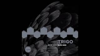 TriGo - Black Bird (El Mental Souls Remix)