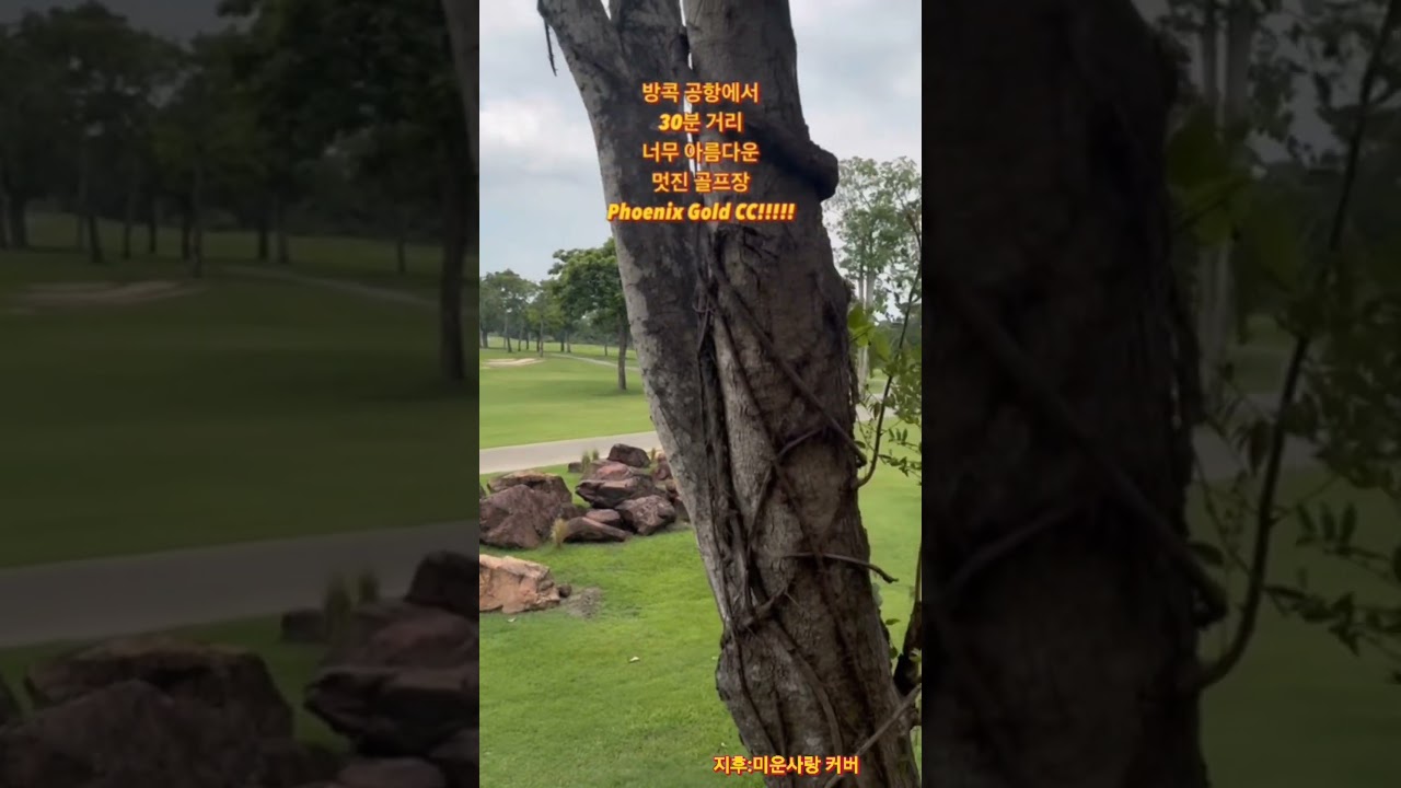 방콕 공항에서 30분 거리 Phoenix Gold CC  예쁘고 멋진 골프장 