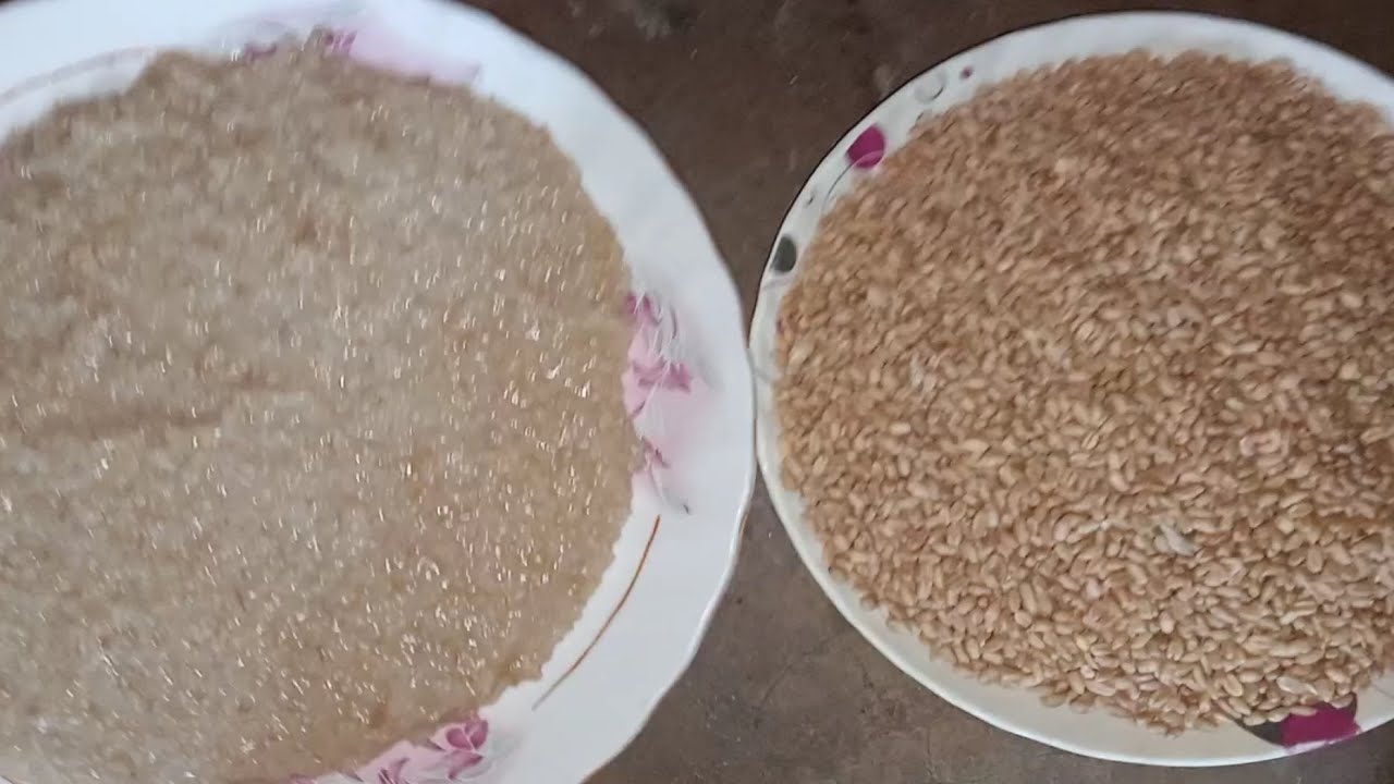गेहू का चावल बनाने का तरीका, गेहू के चावल रेसिपी,Gehu ka chawal recipe ...