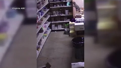 Surveillance footage: trashed raccoon passes out inside liquor store