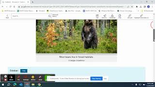 Gale in Context: Elementary Database Screencast