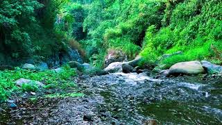 Soft Flowing River White Noise – For Wellbeing, Mental Clarity & Emotional Balance screenshot 1
