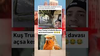 Hemen Kesiyorsunuz O Ağacı Ve Karekökü Ortadan Kaldırıyoruz Işte Bu Ya