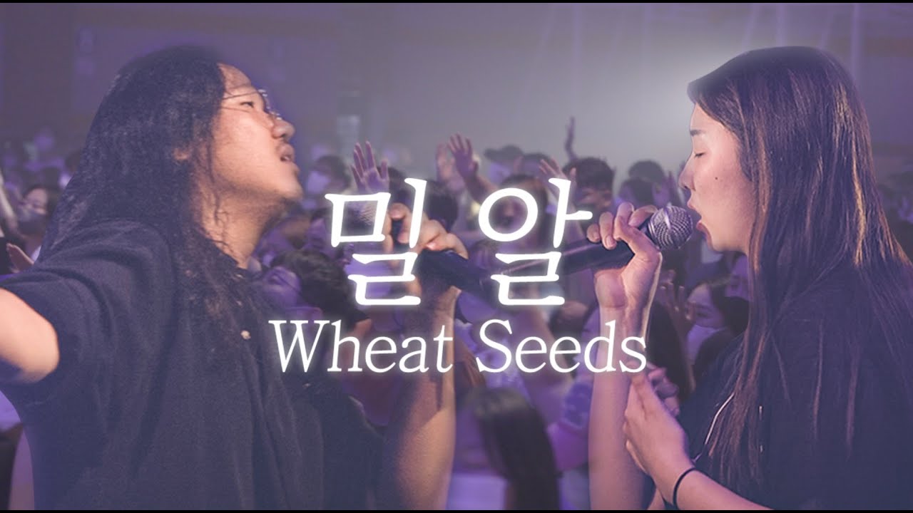 밀알 Wheat Seeds - 예람워십