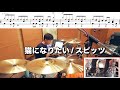 【花鳥風月】猫になりたい / スピッツ 叩いてみた