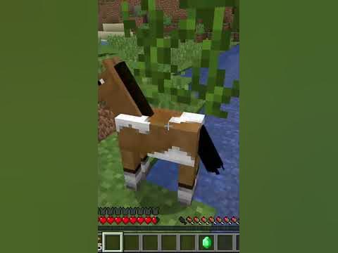 Маленький конь - YouTube