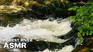 Black Forest River ASMR 4K | Rushing Water Sounds for Sleep & Relaxation (45 Min)