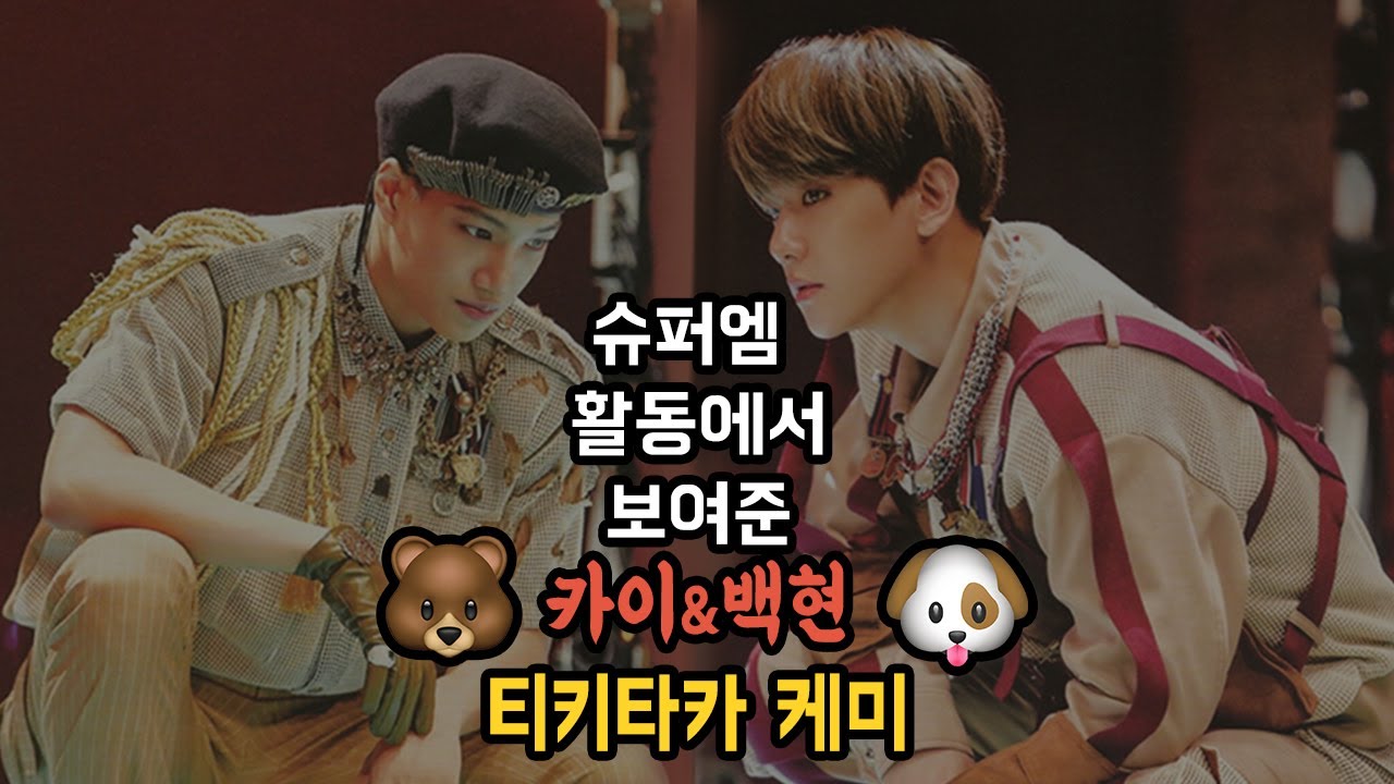 슈퍼엠 활동으로 보는 카이&백현 티키타카 케미 모음🐻🐶