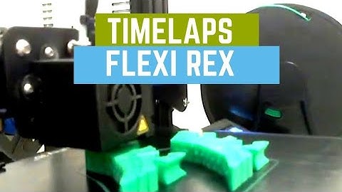 Flexi Rex | 3d print | Timelaps