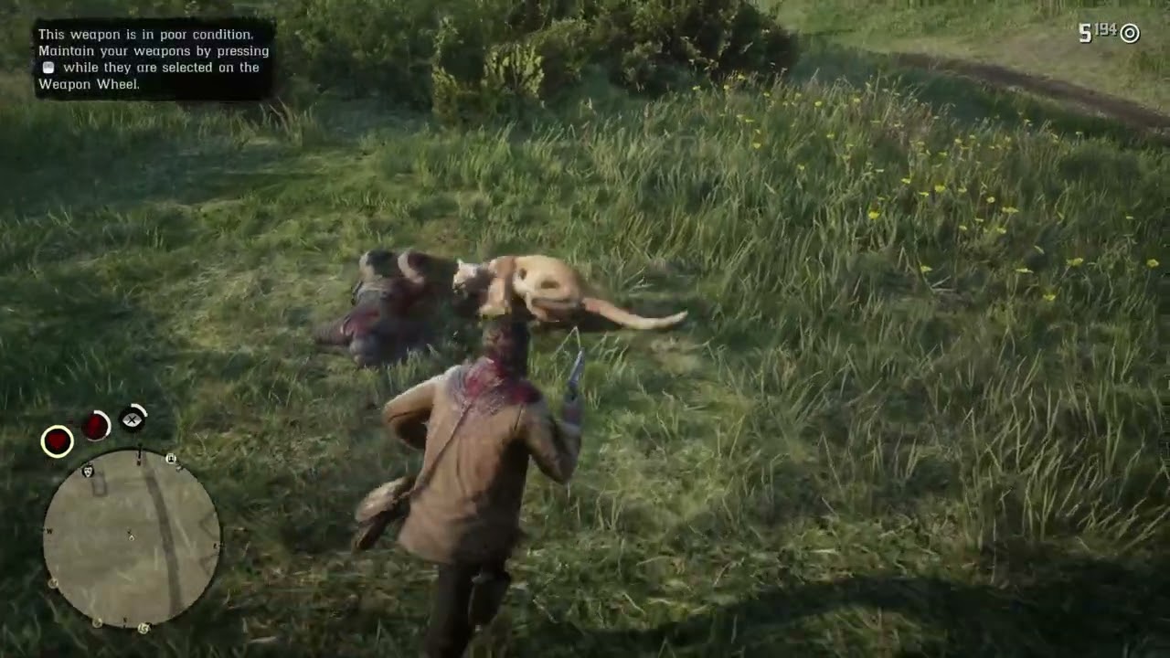 the Legendary White Cougar Attack Arthur Morgan Rdr 2