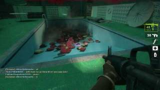 left4dead2 ♥ fireworks♥