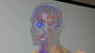 HoloLens 3D Medical model viewer in Japan