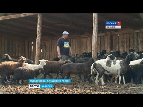 из рук в руки объявление из рук в руки объявление