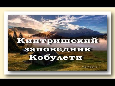 Кинтришский заповедник Кобулети Аджария Грузия