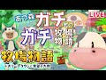 あつ森ガチ勢によるガチンコ牧場物語#1　【牧場物語/オリーブタウン/あつまれどうぶつの森/最速/攻略/検証/金策/イベント/結婚条件】