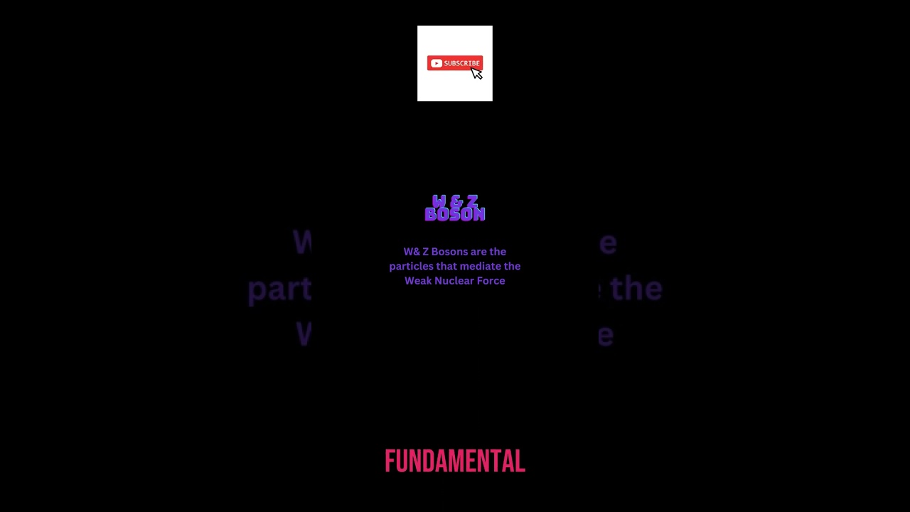 W & Z Boson - A Quick Overview