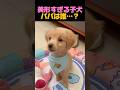 パパもイケメンなのか…？