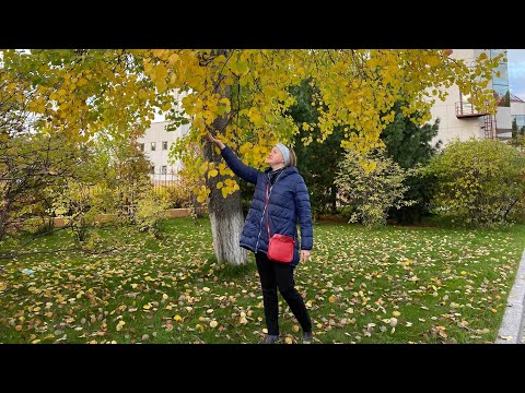Киа югорский тракт