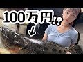 【奇跡の入手】超レア!魚屋が散財しても食べたかった魚。【魚屋の森さん】