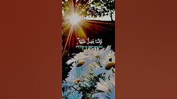 قُلْ يَا أَيُّهَا النَّاسُ...#سورة_هود #القرآن_الكريم #عبدالباسط_عبدالصمد #القرآن_حياتنا