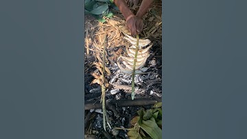 Cá Suối Nướng ở View cực chill || Tuấn Têu || Tây Nguyên #vietnam #food #fishing