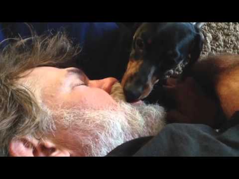 Dog Licks Sleeping Man's Mouth
