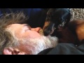 Gambar cover Dog Licks Sleeping Man's Mouth