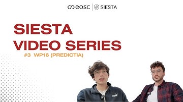 SIESTA VIDEO SERIES 3 - WP16: Energy