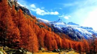 Tevbe Suresi | Mishary Rashid Alafasy