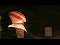 [J-SAILING] 動画で見る「セール表面の風の流れの比較 5」 90°煙上から