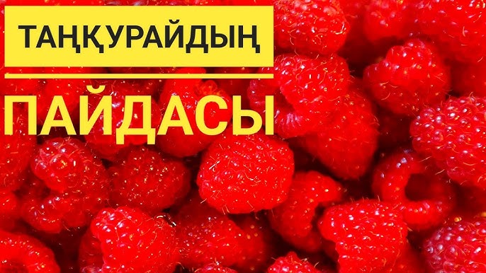 Java ойыны секс терапиясы