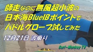 師走なのに無風面ツル超小波の日本海でパドルグローブを試してみた 181221 ~サーフモンキーTV