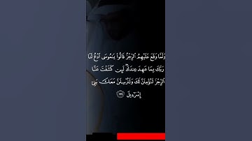 القارئ/هيثم الدخين❤