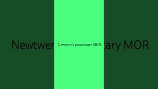 Newtwen's proprietary Model Order Reduction  #digitaltwin #engineering #startup #news #innovation