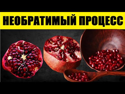 Сколько гранат в машине