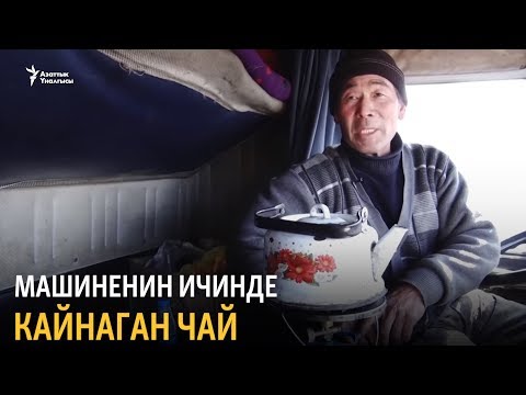 Video: Кара алтын балык - жемиш өсүмдүктөрүнүн зыянкечтери