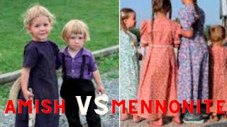 Amish vs Mennonite  // What's the Difference?