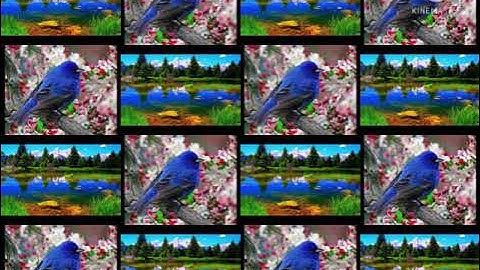 آية الكرسي بصوت القارئ إسلام صبحي مع التأمل في خلق الله ✨