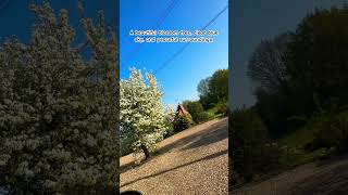 Feeling Stressed? Watch This 🌸 Relaxing UK Spring #travel #worldexplorer #unexploredworld