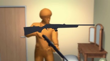 Official investigation: Sandy Hook shooter