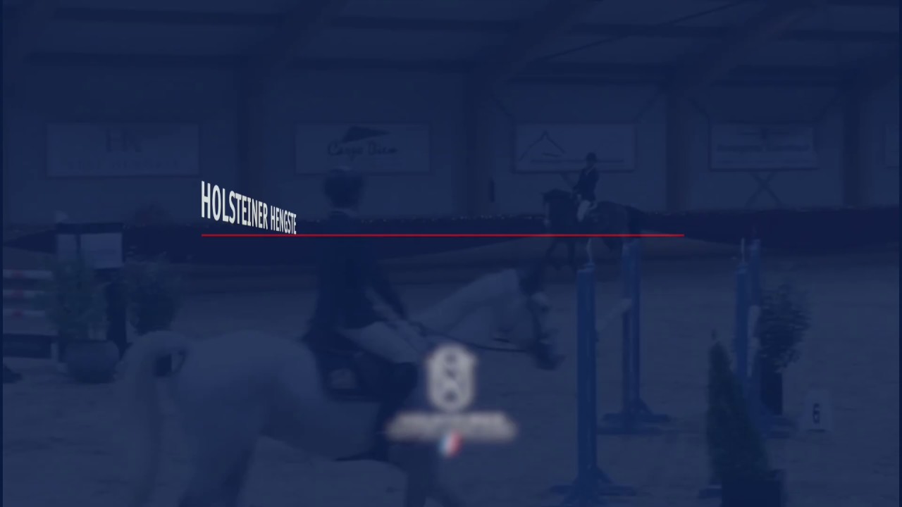 Turnierimpressionen: Million Dollar unter Frank Schuttert